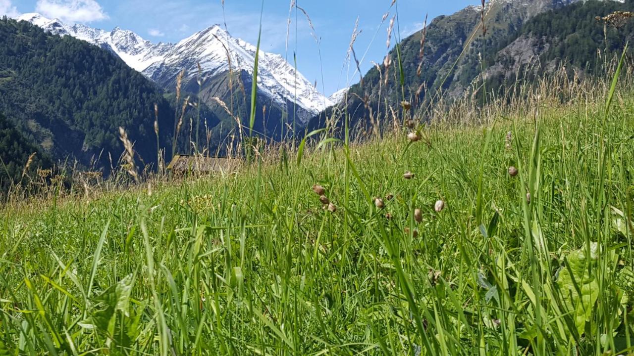 PrägratenVirgentaler Alp别墅 外观 照片